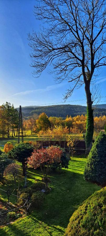 Appartamento Dom Na Przedgorzu Świeradów-Zdrój Esterno foto