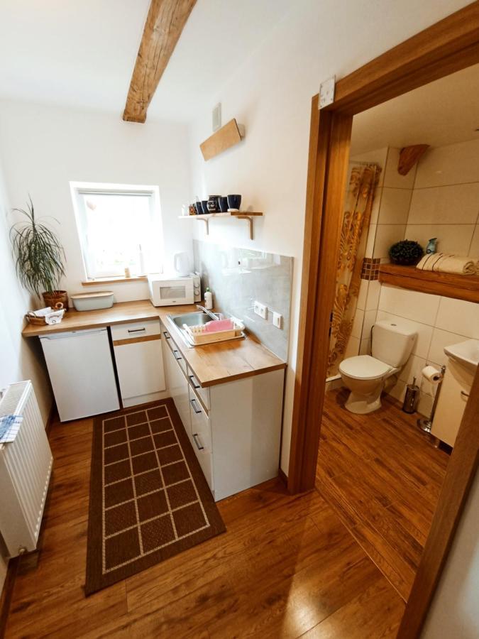 Appartamento Dom Na Przedgorzu Świeradów-Zdrój Esterno foto