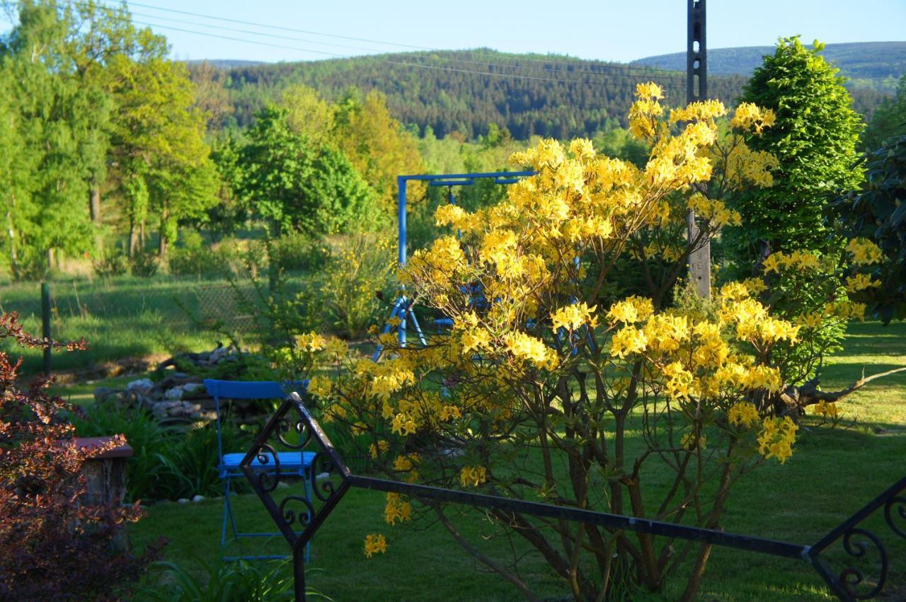 Appartamento Dom Na Przedgorzu Świeradów-Zdrój Esterno foto